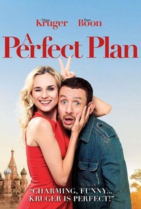 Poster for The Perfect Plan