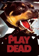 Play Dead poster image