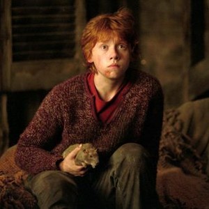 HARRY POTTER AND THE PRISONER OF AZKABAN, Rupert Grint (holding 'Scabbers' the rat), 2004, © Warner Brothers