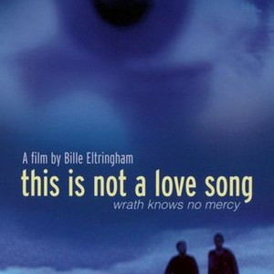 This Is Not a Love Song photo 7