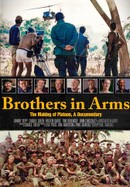 Brothers in Arms poster image