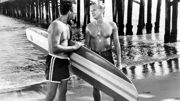 Surf Party | Rotten Tomatoes