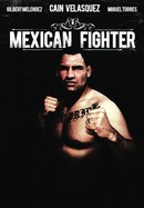 Mexican Fighter poster image