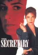 The Secretary poster image