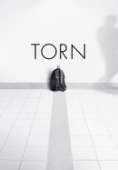 Torn poster image