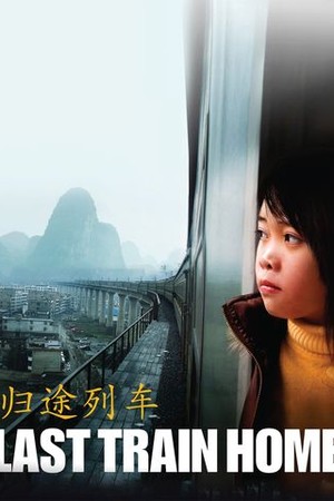 Last Train Home poster
