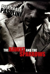 Watch trailer for The Hawks and the Sparrows