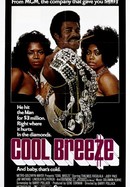 Cool Breeze poster image