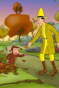 Curious George: Season 13, Episode 8 | Rotten Tomatoes
