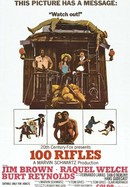 100 Rifles poster image