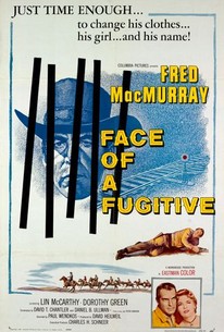 Poster for Face of a Fugitive