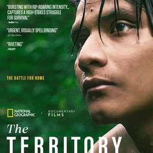The Territory photo 8