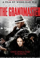 The Grandmaster poster image
