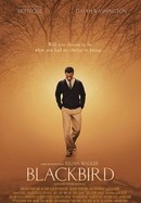 Blackbird poster image