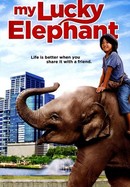 My Lucky Elephant poster image