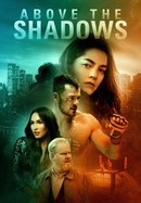 Above the Shadows poster image