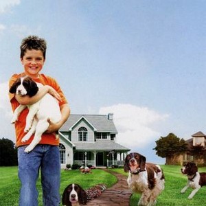 Miracle Dogs photo 3