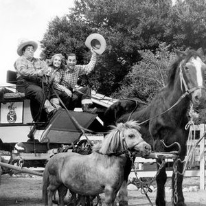 Ride 'em Cowboy (1942) photo 3