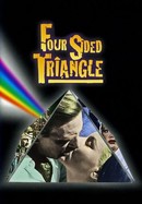 The Four Sided Triangle poster image