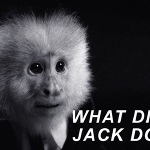 What Did Jack Do? photo 9