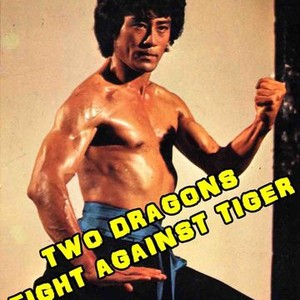 Two Dragons Fight Against Tiger (1979) photo 1