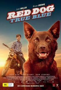 Red Dog: True Blue (2016) - Rotten Tomatoes