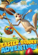 Easter Bunny Adventure poster image