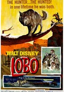 The Legend of Lobo poster image