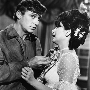 THE ADVENTURES OF BULLWHIP GRIFFIN, Roddy McDowall, Suzanne Pleshette, 1967