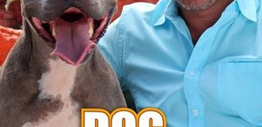 Cesar millan bad top