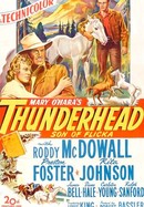Thunderhead: Son of Flicka poster image