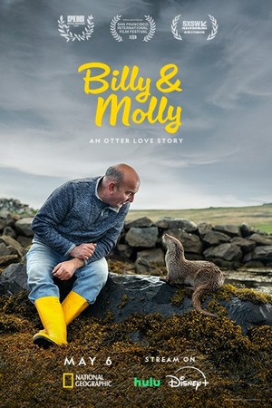 Billy & Molly: An Otter Love Story poster