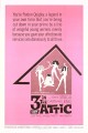 Three in the Attic
