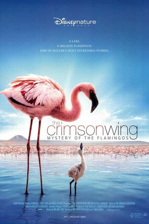The Crimson Wing: Mystery of the Flamingos poster