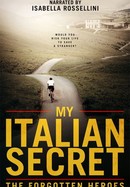 My Italian Secret: The Forgotten Heroes poster image