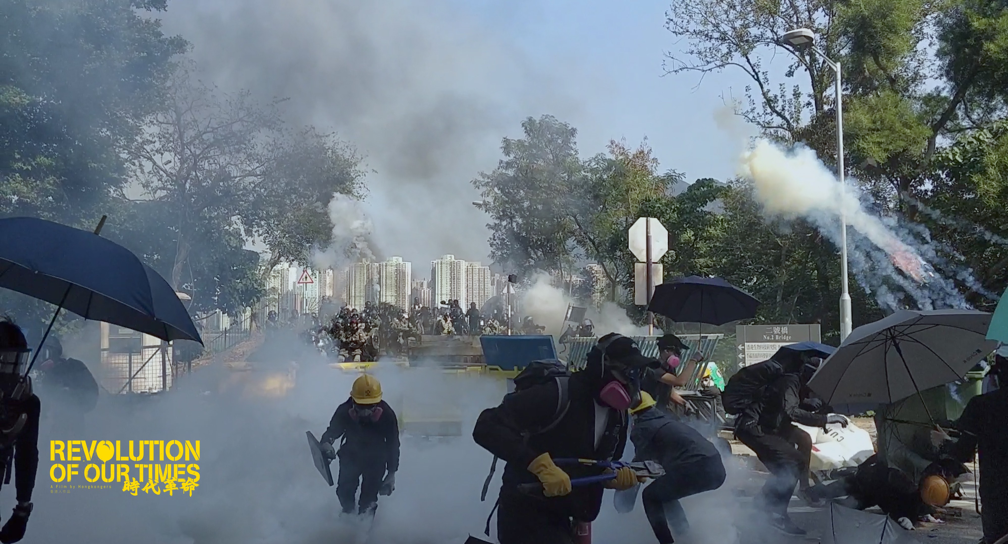 Revolution of Our Times Trailer 1 Trailers & Videos Rotten Tomatoes
