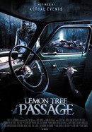 Lemon Tree Passage poster image