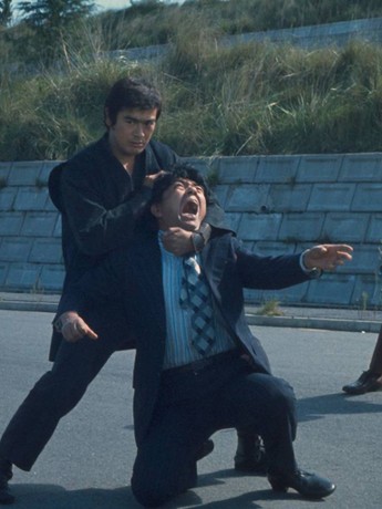 The Street Fighter's Last Revenge | Rotten Tomatoes