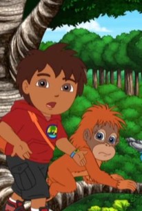 Go, Diego, Go!: Season 4, Episode 2 - Rotten Tomatoes