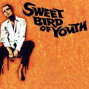 Sweet Bird of Youth photo 9