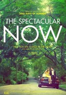 The Spectacular Now poster image
