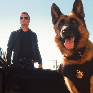 Cats Dogs The Revenge Of Kitty Galore 2010 Rotten Tomatoes