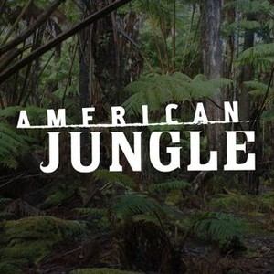 A Score To Settle In the Jungle, Wild Card