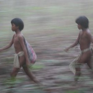 The Jungle School (2013) photo 4