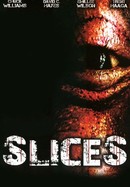 Slices poster image