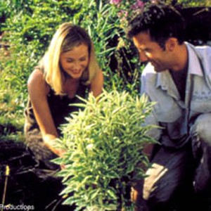 (l to r): Natasha Little stars as Primrose Woodhouse and Clive Owen star as Colin Briggs in Joel Hershman's GREENFINGERS. photo 10