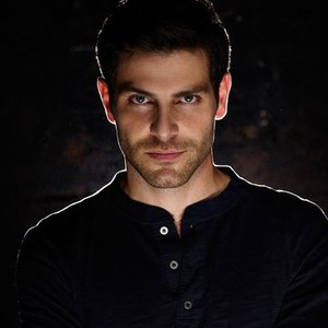 David Giuntoli as Nick Burkhardt