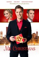 Mr. Christmas poster image