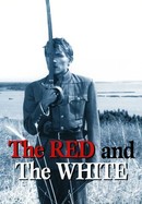 The Red and the White poster image