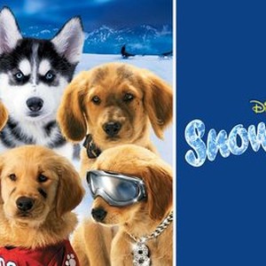 Snow Buddies - Rotten Tomatoes